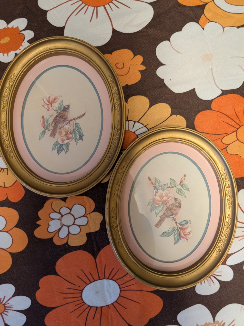 1983 HOMCO Bird Picture Set Vintage